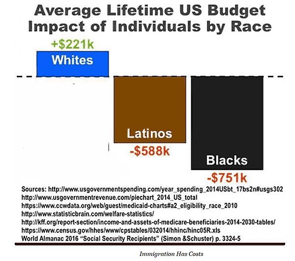 Federal budget impact of individuals by race