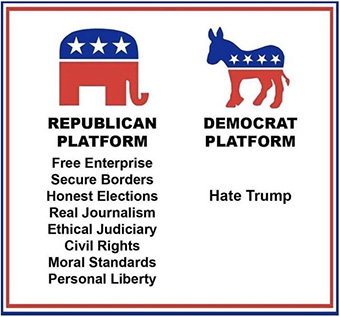 Republican vs Democrat platform