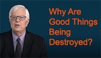 Why are so many good things being destroyed?