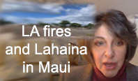 Diana West on the LA fires and Lahaina in Maui